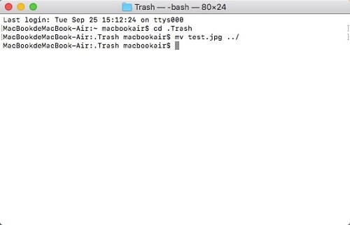 Mac Dateien durch Terminal wiederherstellen