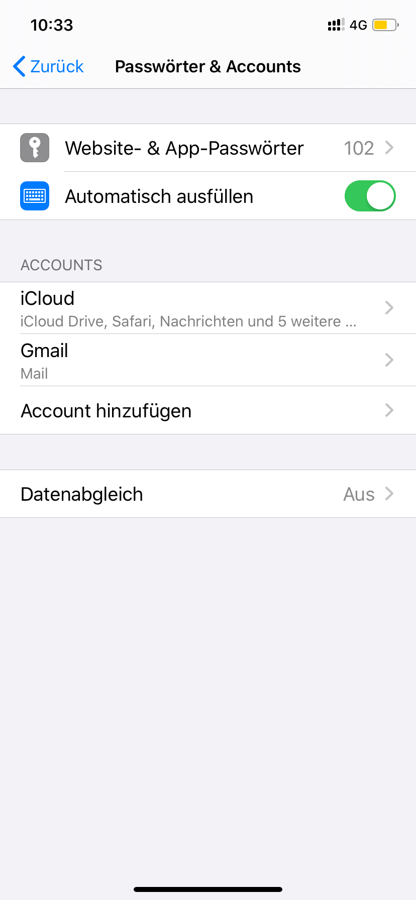 iPhone Passwörter und Accounts