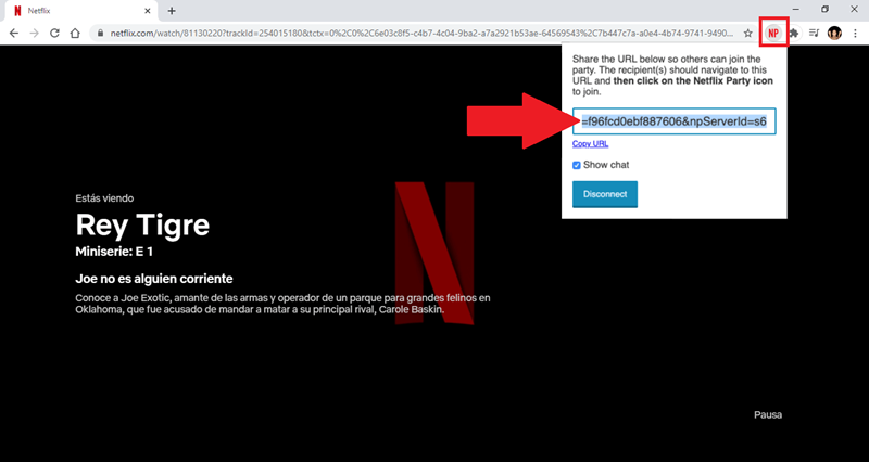 Netflix URL kopieren
