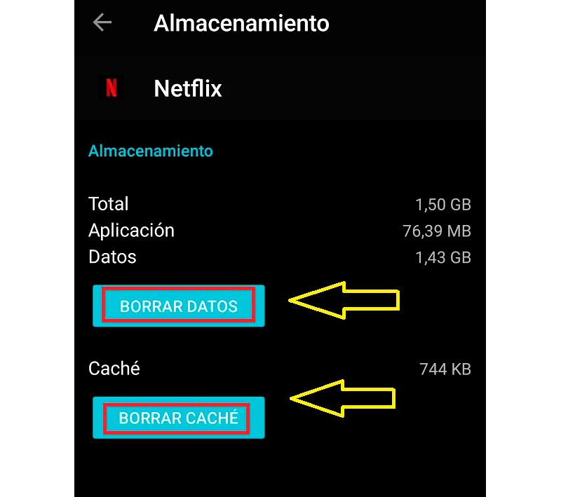 borrar datos de aplicación Netflix