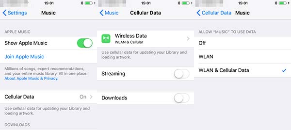 Enable Wi-Fi & Cellular Data for Music