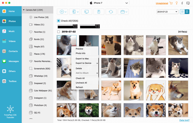 Export iPad Photos onto Mac for Backup