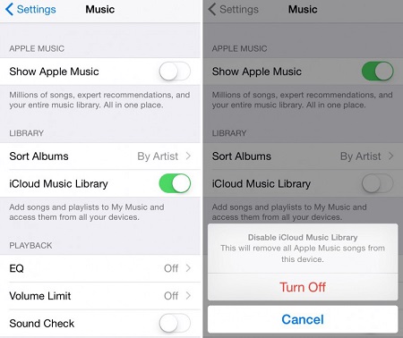 Turn off iCloud Music Library on iPod Touch