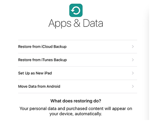 Restore From iTunes Backup