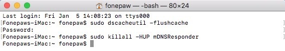 Terminal Command to Flush Caches