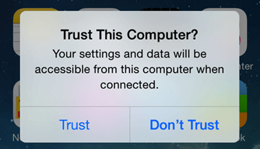 Tap Trust This Computer