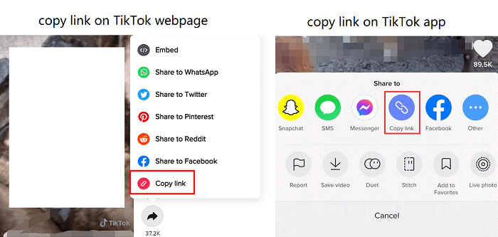 Copy Video Link on TikTok Webpage or App