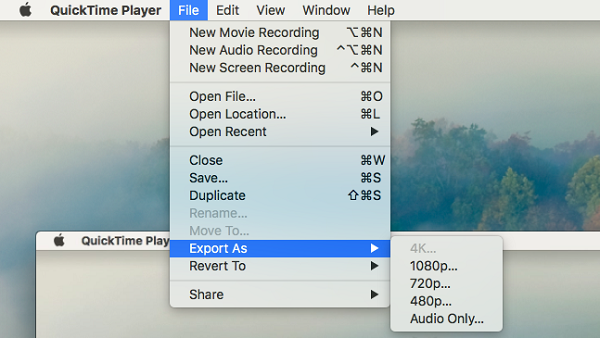 QuickTime Export As