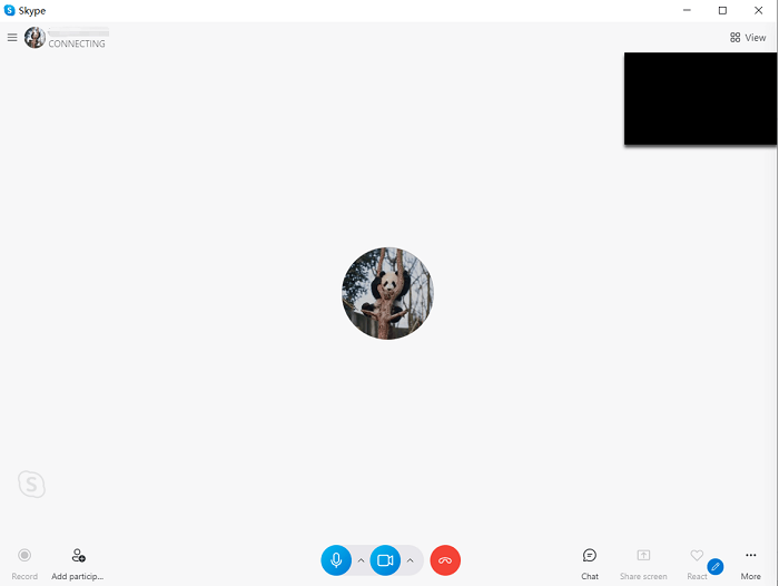 skype call screen shot