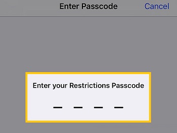 Enter Restrictions Passcode