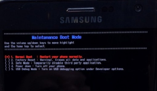 Maintenance Boot Mode Screen
