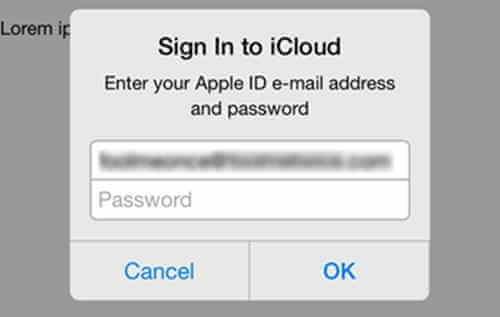 Enter Your iCloud Password