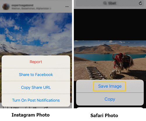 How to Save Instagram Photos on iPhone/PC?