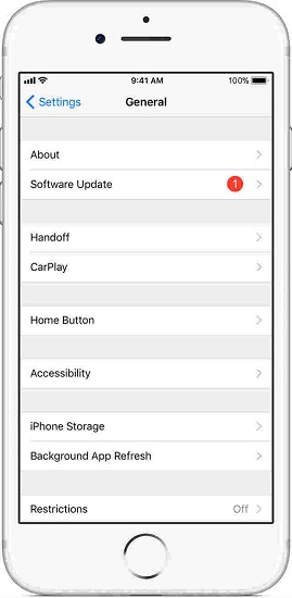 iPhone Settings General Software Update