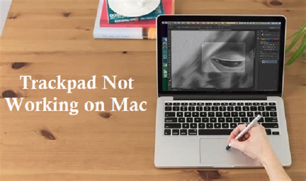Mac Trackpad Not Working