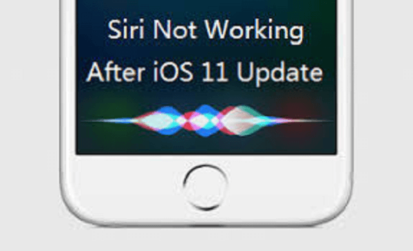 Siri Not Working After iOS 11 Update