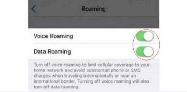 Siri Turning on Roaming