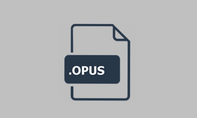 OPUS File
