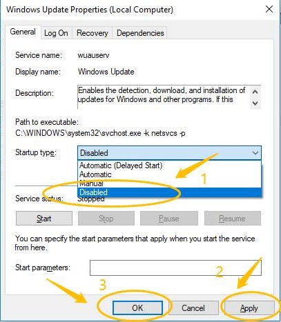 Disabled Windows Update Service
