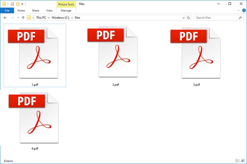 PDF Files on Windows