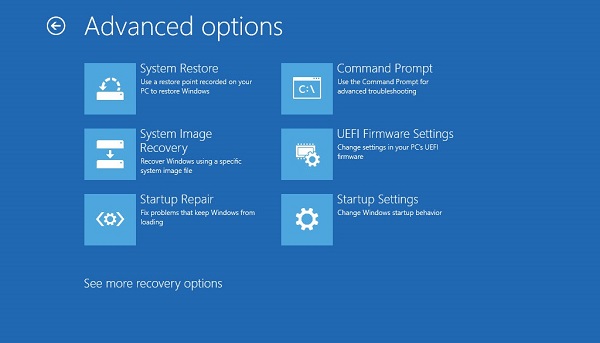 Windows Advanced Options