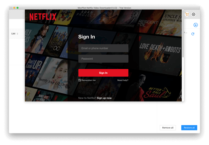 Log in to Netflix