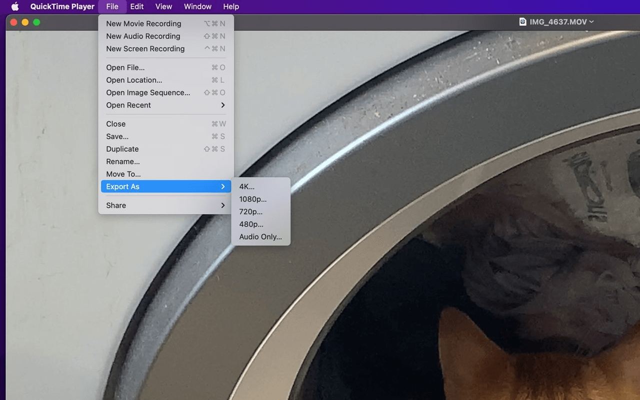 Top 10 Video Converter für Mac kostenlos im Test [2023 Update]