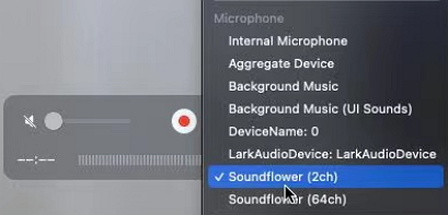 Sélectionnez l'option Soundflower (2 ch)